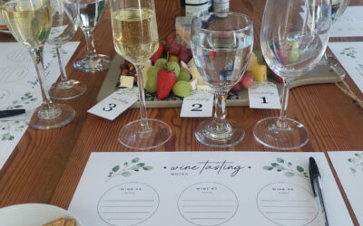 Sip Sisters Society’s Debut Event: A Feast of Wine, Sunshine, and Sisterhood